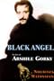 Black Angel: The Life of Arshile Gorky