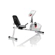 Schwinn A20 Recumbent Exercise Bike