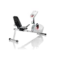 Schwinn A20 Recumbent Bike (MY2012)