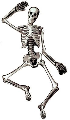 Spooky Paper Cut Out Skeleton Halloween Decoration 35in High