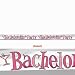 Bachelorette Party Banner