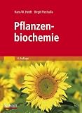Pflanzenbiochemie - Hans-Walter Heldt, Birgit Piechulla