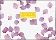 Petals Stationery Collection (Stationery Boxes)