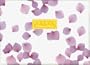 Petals Stationery Collection