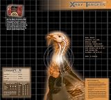 X-Ray Paper Targets, Turkey, 18.75x16.75 - 6pk