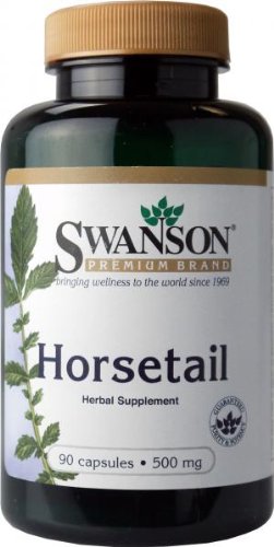 Swanson Horsetail (Natural Silica) (500mg, 90 Capsules)