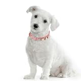 HRH PETS Cubic Zirconium Charm Letter - Collection