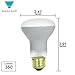 (10 Pack) 45R20 45 Watt E26 Medium Base Reflector R20 Incandescent Light Bulb