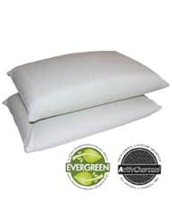 Sleep Master 2-Pack Traditional Memory Foam Pillows, Standard