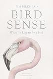 Bird Sense: What It's Like to Be a Bird