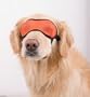 ORANGE - LARGE - Doggles Mesh Eyewear - Sunshade - Sunglasses