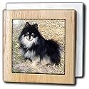 Black and Tan Pomeranian - 6 Inch Tile Napkin Holder
