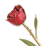 Long Stem 24k Dipped Gold Trim Ruby Sun With Gift Box