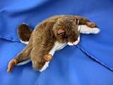 Flying Squirrel 9