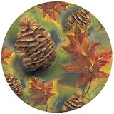 A Walk in the Woods Thirstystone Sandstone Coaster Set