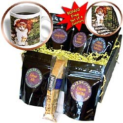 Cats - Orange Cat - Coffee Gift Baskets - Coffee Gift Basket by 3dRose LLC