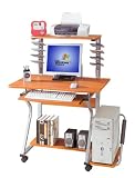 Deluxe Ergonomic Multi-Level Computer Desk - Woodgrain
