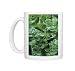 Photo Mugs of Perpetual spinach (Beta vulgaris) from Science Photo Library