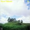 Image of album by Steve Tibbetts