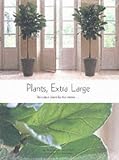 Books : Plants, Extra Large: Decorative Plants for the Interior