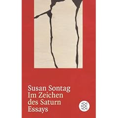 Im Zeichen des Saturn: Essays