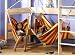 La Siesta Children's Hammock Chair Chica