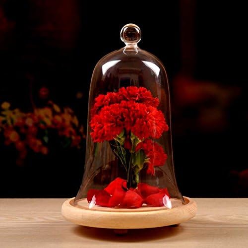 Glass Display Dome / Cloche with wooden Base Bell Shape 6" x 9"
