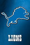 (24x36) Detroit Lions (Logo) Sports Poster Print