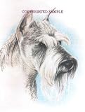 Schnauzer - Portrait by Cindy Farmer