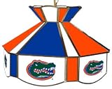 16 inch Stained Glass Swag Light - Florida - NCAA Team