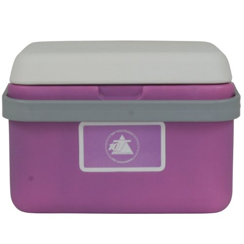 10T Fridgo 5 Glacière passive Lavande/Gris Clair 27 x 22 x 19,5 cm