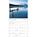 The Lure of Fishing 2017 Wall Calendar