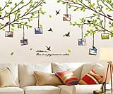 Wall Decor Removable Decal Sticker - Green Tree Branches with Flying Birds & Photo Frames