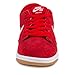 Nike SB Dunk Low Pro IW