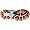 ASICS Men's GEL-Nimbus 12 Running Shoe