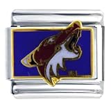 Nhl Phoenix Coyotes Licensed Sports Italian Charms Bracelet Link
