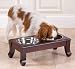 Carrington Raised Dog Diner - Small/Medium