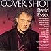 Everlasting Love lyrics David Essex