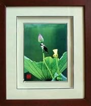 Framed Chinese Silk Embroidery : Lotus & Bird 11"x12.6"