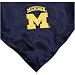 Comfy Feet Michigan Wolverines Infant Silky Blanket