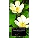 Food plants and history