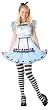 Teen and Tween Alice in Wonderland Costume