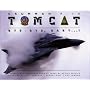 Grumman F-14 Tomcat: Anytime, Baby...! Images and Reminiscences from 35 Years of Active Service