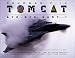 Grumman F-14 Tomcat: Bye - Bye Baby...!: Images & Reminiscences From 35 Years of Active Service
