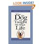 What My Dog Has Taught Me About Life: Meditations for Dog Lovers