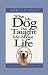 What My Dog Has Taught Me About Life: Meditations for Dog Lovers