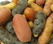 Melissa's Mixed Baby Potatoes, (3 lb)