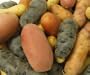Melissa's Mixed Baby Potatoes, (3 lb)