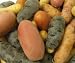 Melissa's Mixed Baby Potatoes, (3 lb)