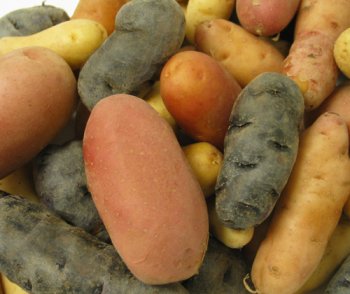 Potatoes